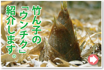 竹ん子の｢ウンチク｣紹介します